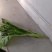 湖北江夏基地大觉白菜苔！要的客商预订！