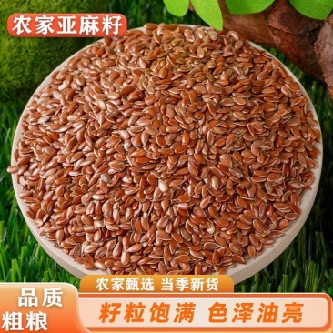 棕亚麻籽，量大从优，优质进口，可大量批发