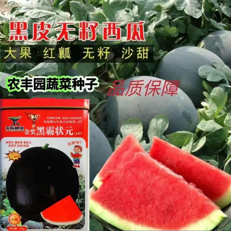 黑霸状元西瓜种子黑皮红瓤无籽西瓜种子真甜纯黑皮大