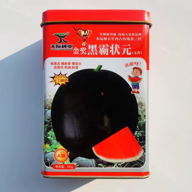 黑霸状元西瓜种子黑皮红瓤无籽西瓜种子真甜纯黑皮大