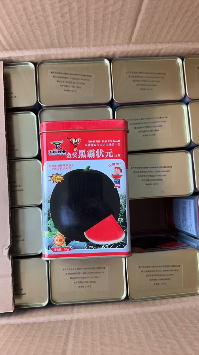 黑霸状元西瓜种子黑皮红瓤无籽西瓜种子真甜纯黑皮大