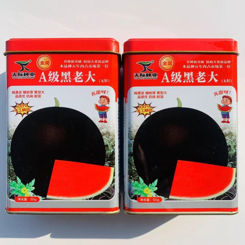 A级黑老大西瓜种子黑皮红瓤无籽西瓜种子真甜纯黑皮大