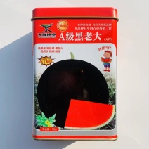 A级黑老大西瓜种子黑皮红瓤无籽西瓜种子真甜纯黑皮大