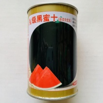 A级黑蜜十无籽黑皮西瓜种子