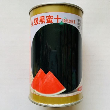 A级黑蜜十无籽黑皮西瓜种子