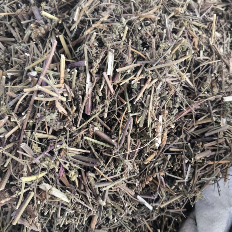 荆芥中药材荆芥全棵切片产地直销大货供应