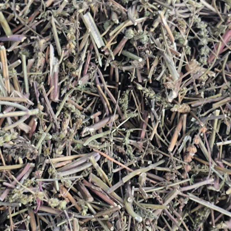 荆芥中药材荆芥全棵切片产地直销大货供应
