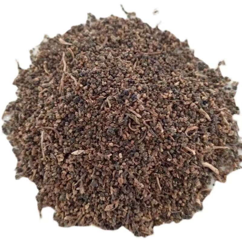 碱蓬草种子盐荒菜荒碱菜盐地碱蓬种子沙地荒地耐盐碱治理土壤
