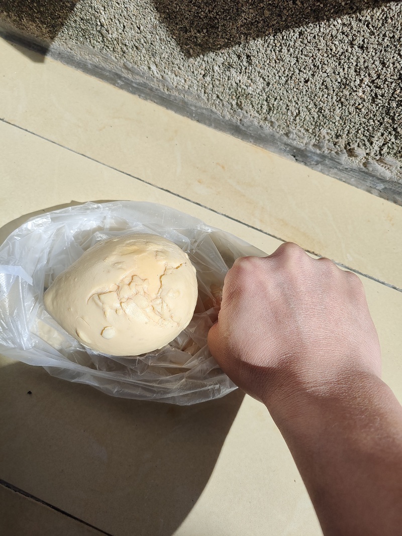 鸡宝
