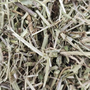优质花生秧草料