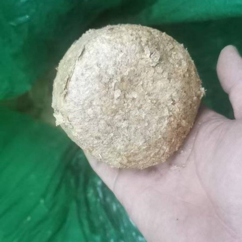 咖啡银皮
