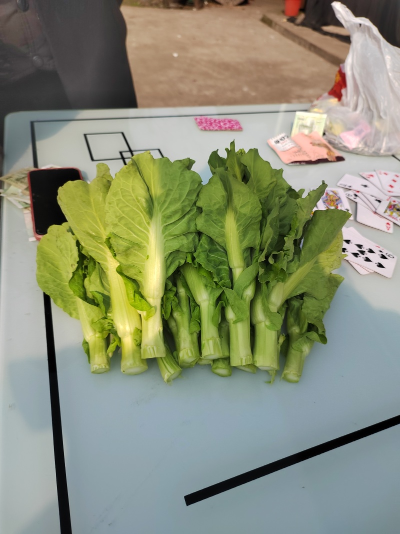 小白菜苔