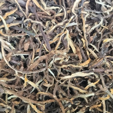 骨碎补干货