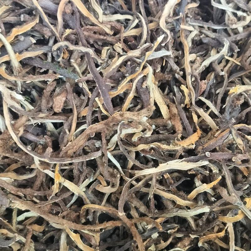 骨碎补干货