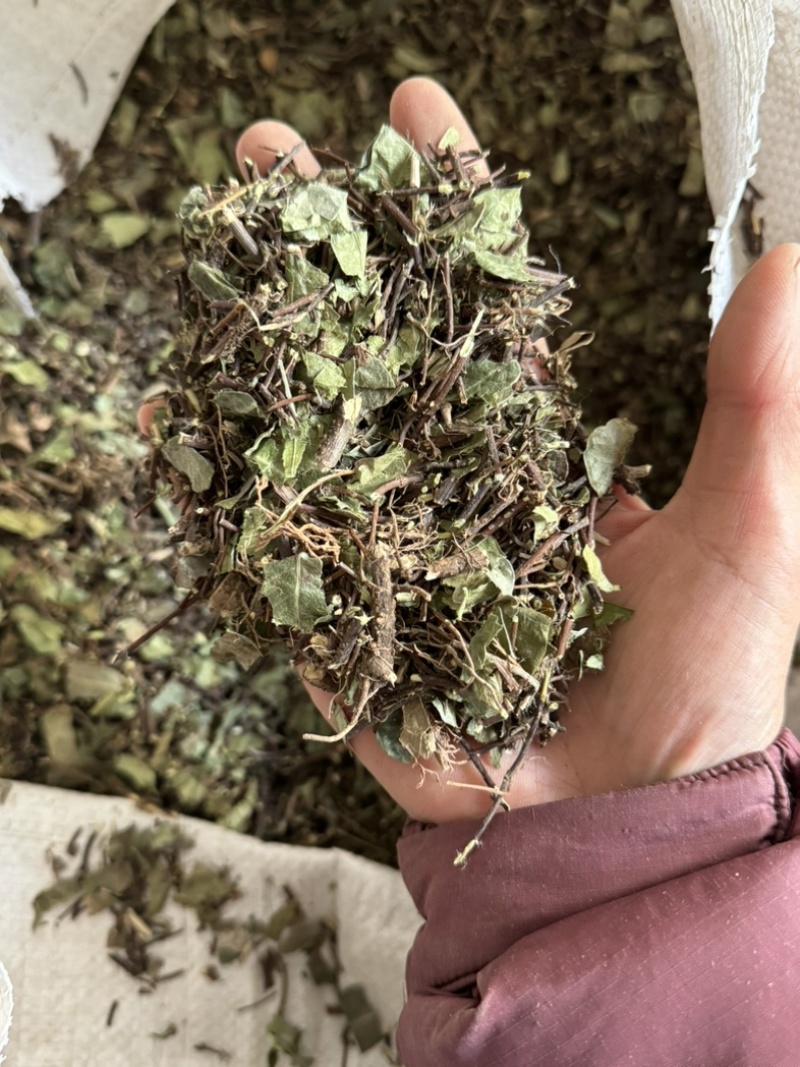 络石藤统货发货前过筛络石草保庆药业