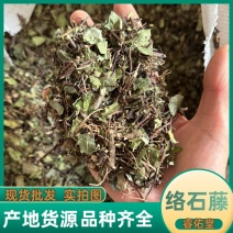 络石藤统货发货前过筛络石草保庆药业