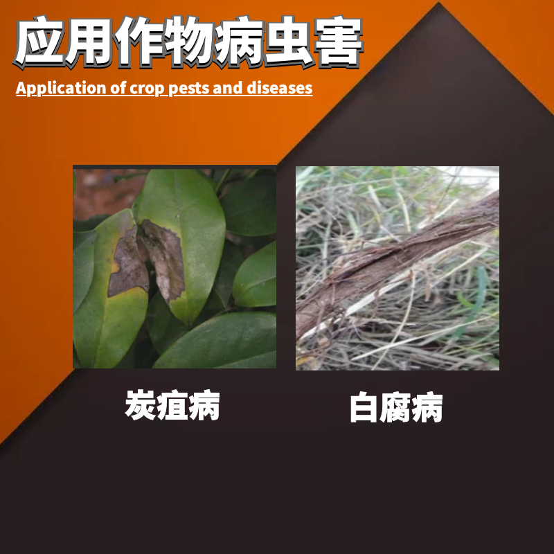 一帆管青22.5%啶氧菌酯脂悬浮剂炭疽病白腐病正品农药