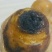 鸡宝