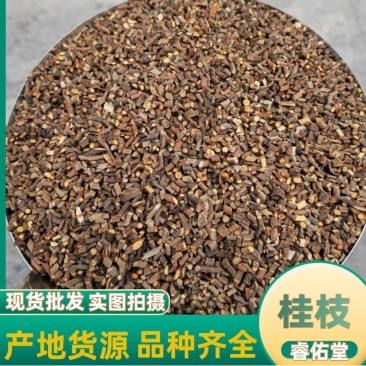 【特细嫩桂枝正品】货对版桂枝尖桂枝广西细桂枝现货