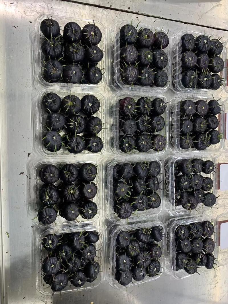顺丰快递云南红果参新鲜现摘当季水果礼盒装