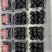 顺丰快递云南红果参新鲜现摘当季水果礼盒装
