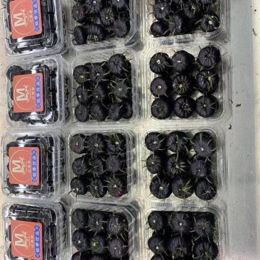 顺丰快递云南红果参新鲜现摘当季水果礼盒装