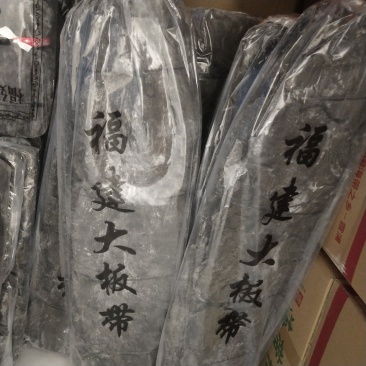 干海带长板菜剪头去尾海带海带片海带短板菜海带养殖加工场