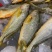 顺丰发货速冻黄鱼刺少肉嫩【500g/条】