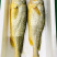 顺丰发货速冻黄鱼刺少肉嫩【500g/条】