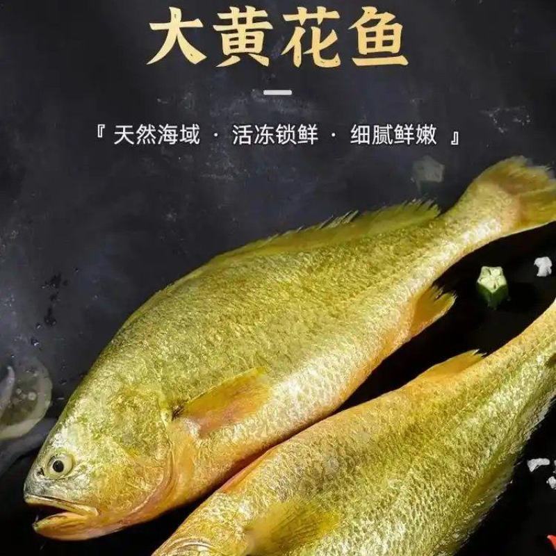 顺丰发货速冻黄鱼刺少肉嫩【500g/条】