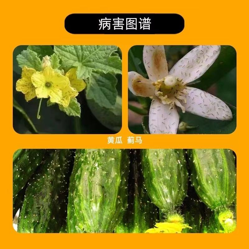 UPL速唯净33%多杀霉素杀虫环多杀毒素黄瓜蓟马杀卵正品