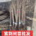 紫荆，庭院耐寒室外花卉植物南方北方别墅花园紫荆，紫荆花