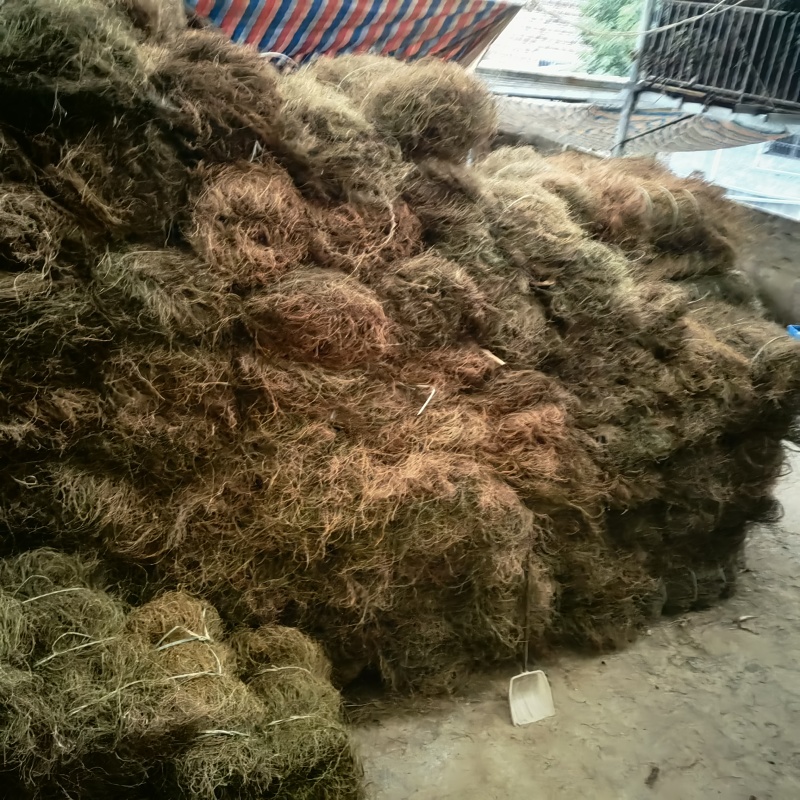 鸡骨草中药材批发全国发货欢迎选购保质保量