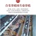 纯种土鸡正宗麻羽鸡半斤鸡苗农家笨鸡脱温鸡苗蛋鸡活苗散养苗