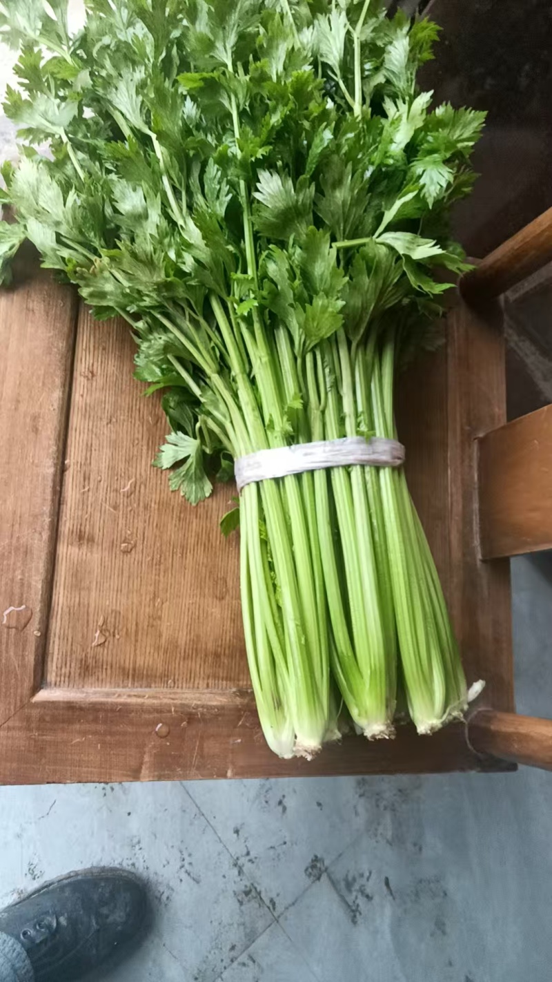 大棚芹菜大量供应电商市场全国代发欢迎各位老板一亩田联系