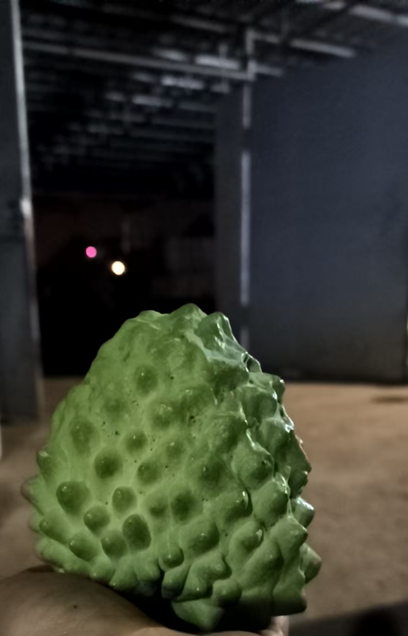 牛奶凤梨释迦果新鲜水果佛头果当季释迦摩尼果番荔枝大果整箱