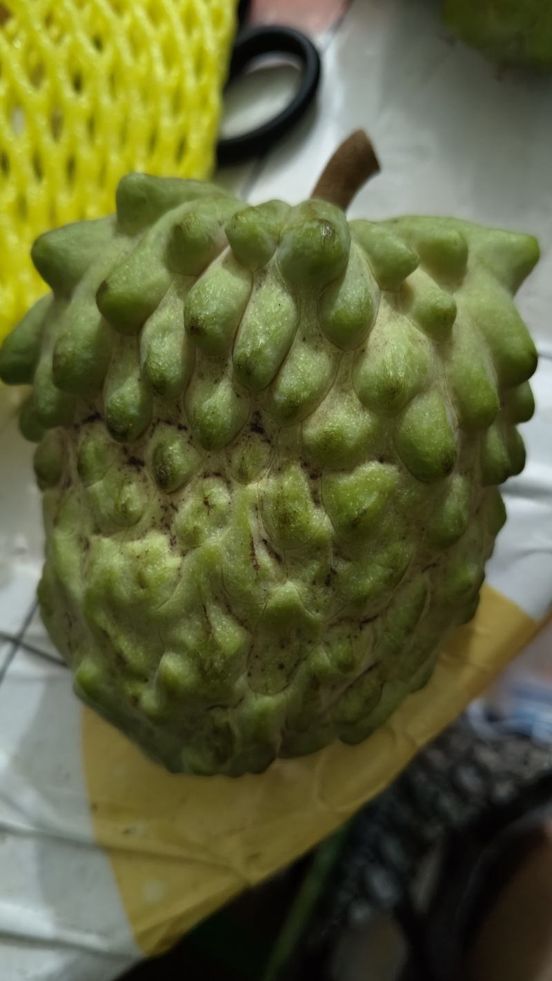 牛奶凤梨释迦果新鲜水果佛头果当季释迦摩尼果番荔枝大果整箱