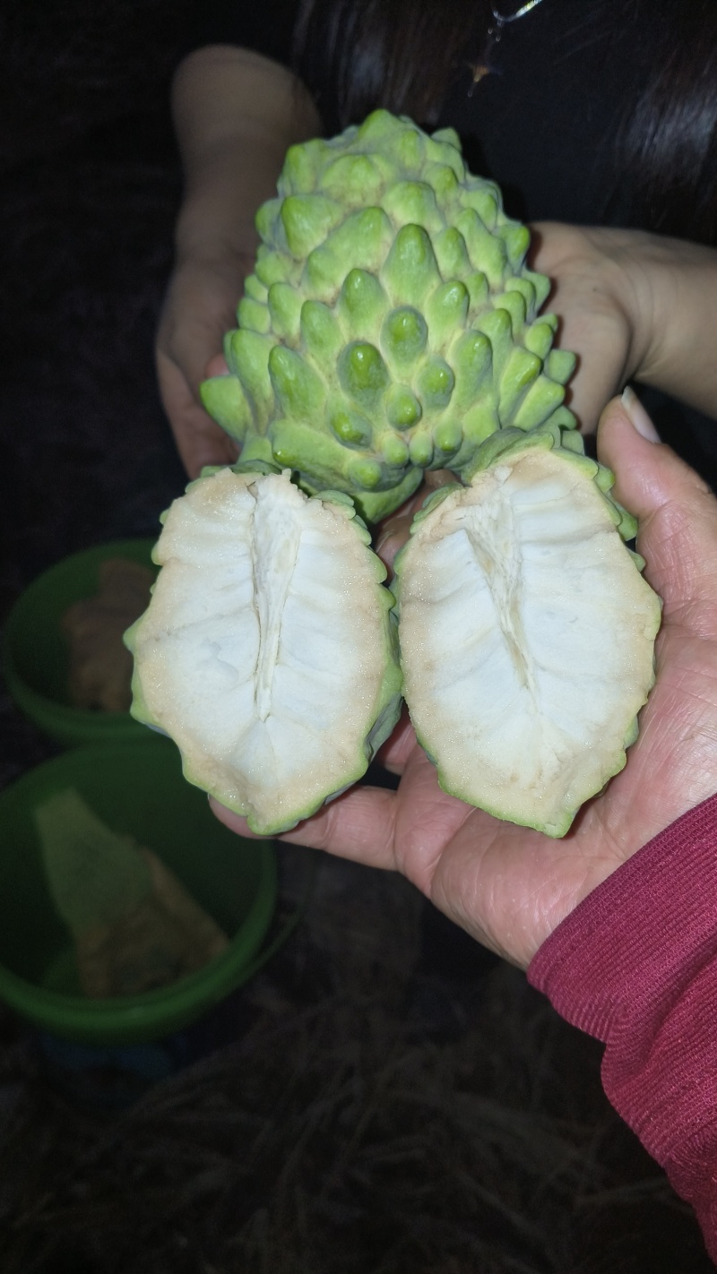 牛奶凤梨释迦果新鲜水果佛头果当季释迦摩尼果番荔枝大果整箱