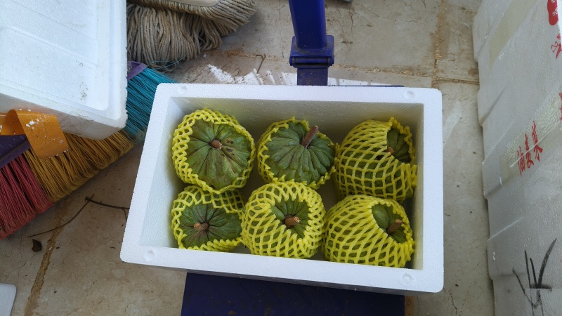 牛奶凤梨释迦果新鲜水果佛头果当季释迦摩尼果番荔枝大果整箱
