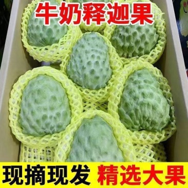 牛奶凤梨释迦果新鲜水果佛头果当季释迦摩尼果番荔枝大果整箱