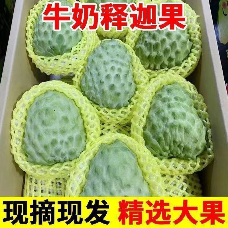 牛奶凤梨释迦果新鲜水果佛头果当季释迦摩尼果番荔枝大果整箱