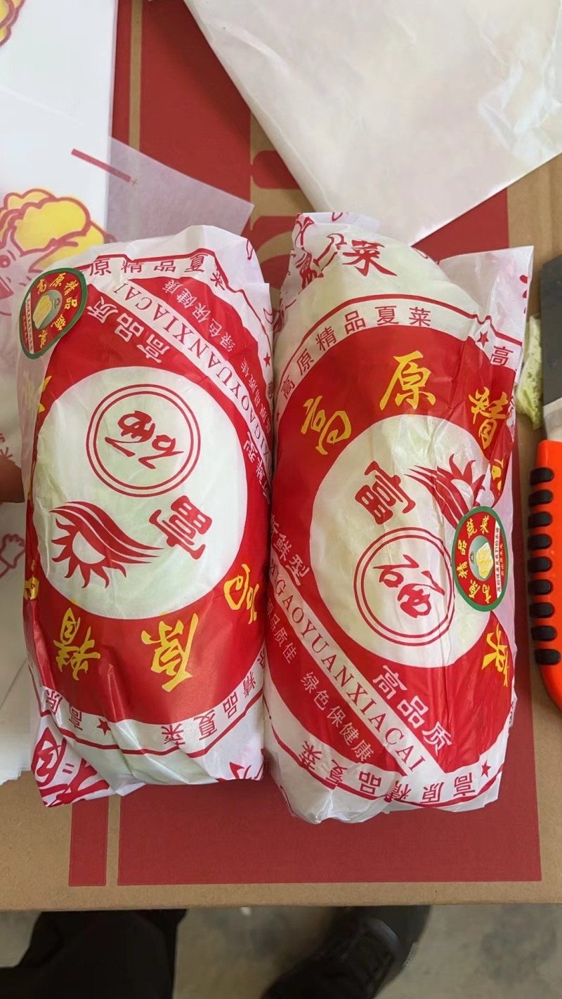 云南精品小娃娃菜高山娃娃菜富硒娃娃菜按需包装大量上市