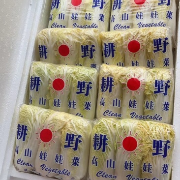 云南精品小娃娃菜高山娃娃菜富硒娃娃菜按需包装大量上市