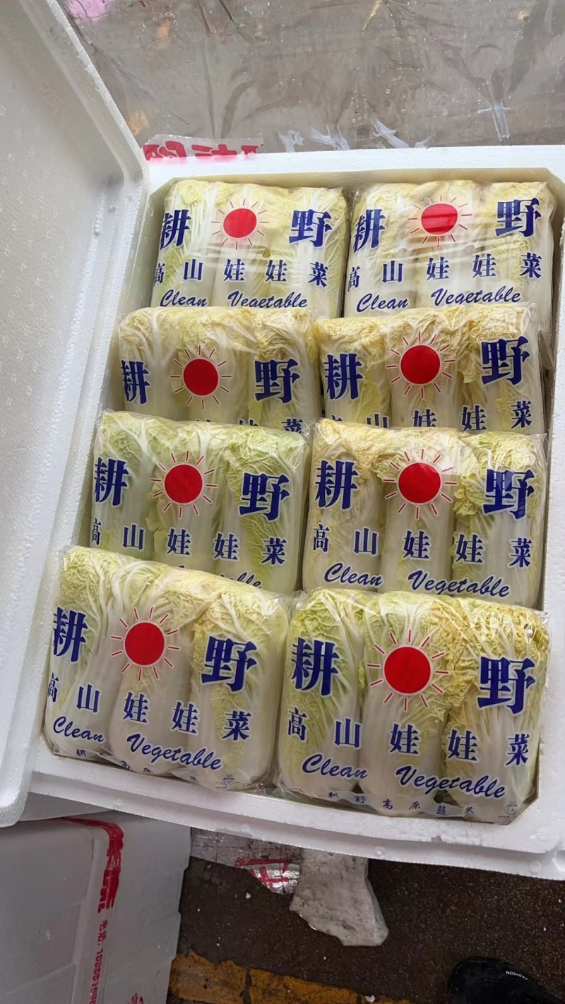 云南精品小娃娃菜高山娃娃菜富硒娃娃菜按需包装大量上市