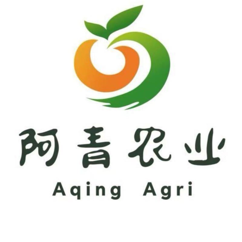 云南意大利生菜/基地现货/可按需包装/全国发货/量大从优