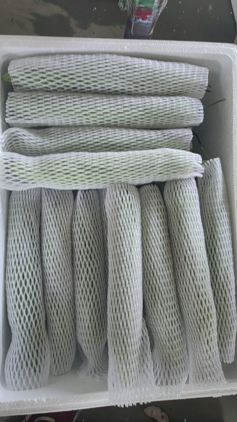 精品新苗苦瓜大量上市中，色泽鲜绿齐定，产地直供