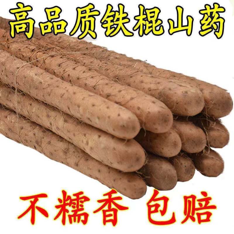 新鲜现挖正宗铁棍山药5斤批发小白嘴淮铁杆软糯面山药蔬菜
