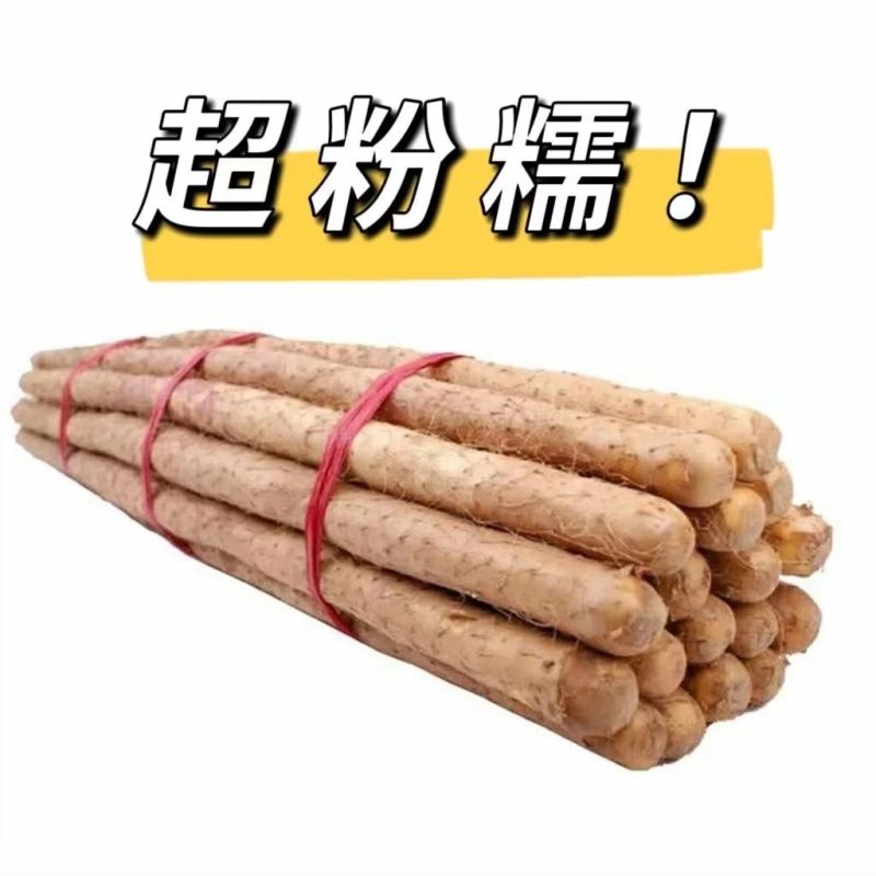 新鲜现挖正宗铁棍山药5斤批发小白嘴淮铁杆软糯面山药蔬菜