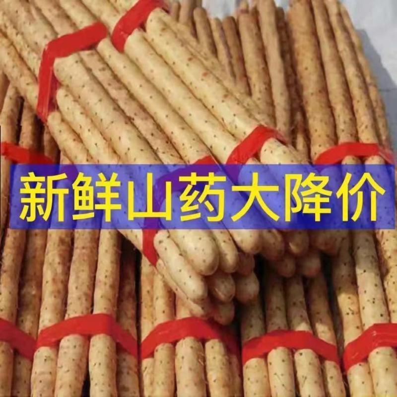 新鲜现挖正宗铁棍山药5斤批发小白嘴淮铁杆软糯面山药蔬菜