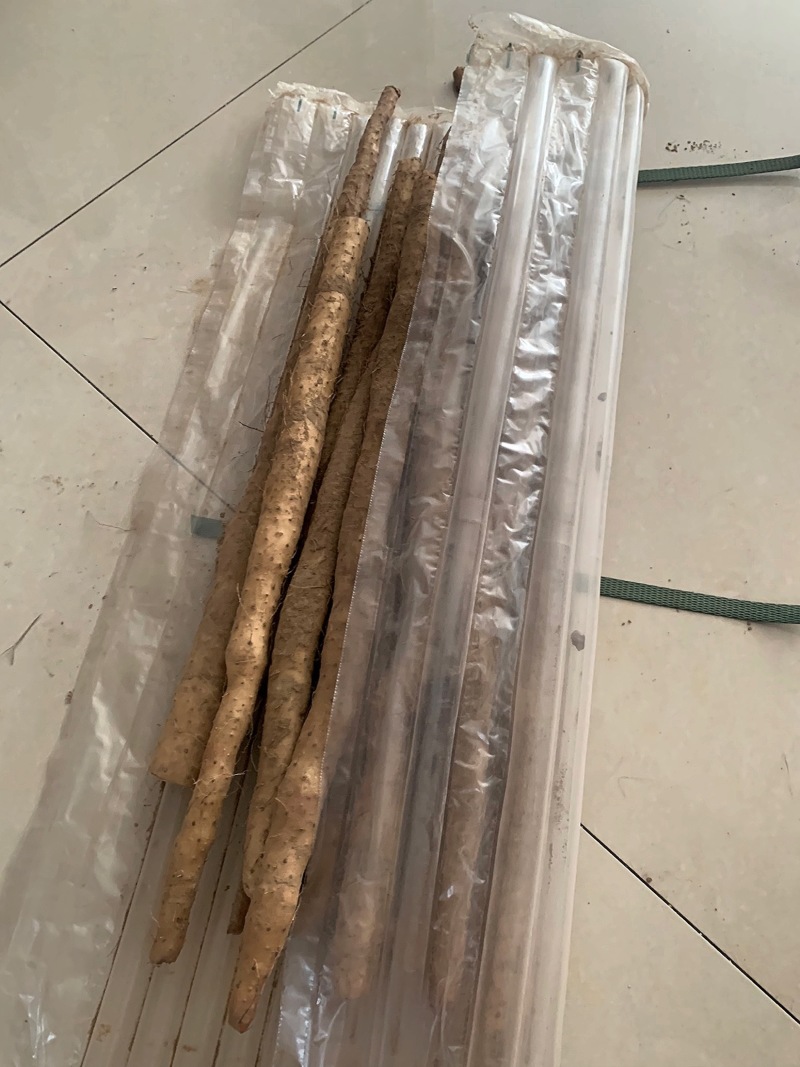 新鲜现挖正宗铁棍山药5斤批发小白嘴淮铁杆软糯面山药蔬菜